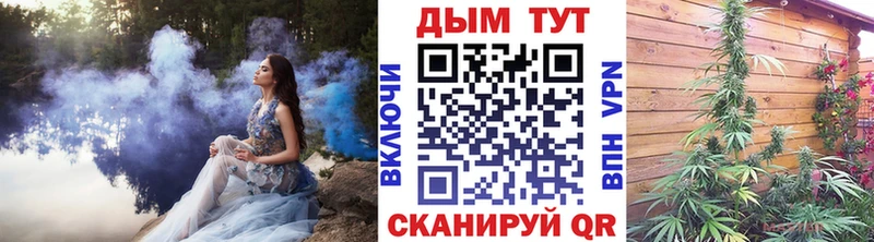 как найти закладки  кракен сайт  Конопля сатива  Железногорск 